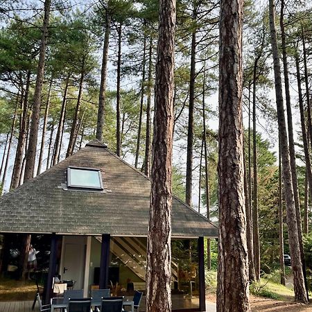 L Oree De La Pinede Hardelot Plage A 800 Metres De La Mer Sous Les Pins Exteriör bild