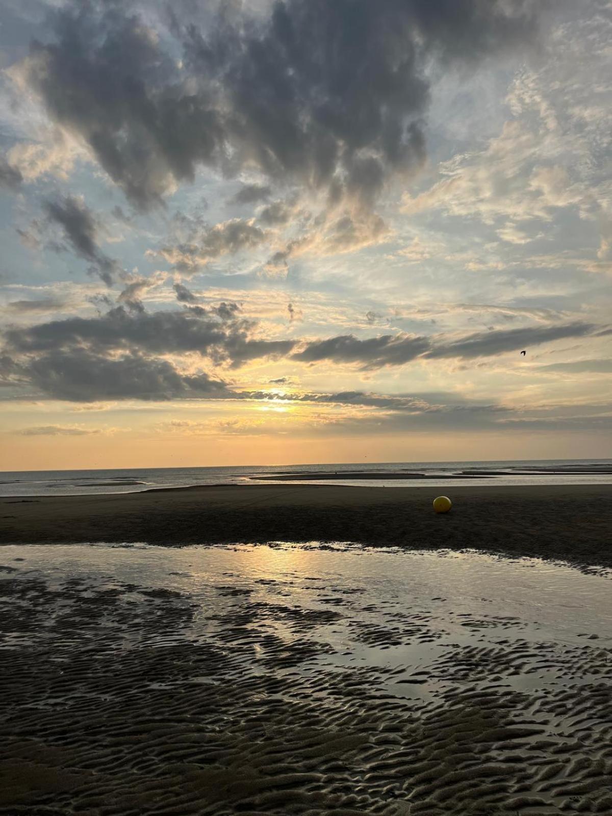 L Oree De La Pinede Hardelot Plage A 800 Metres De La Mer Sous Les Pins Exteriör bild