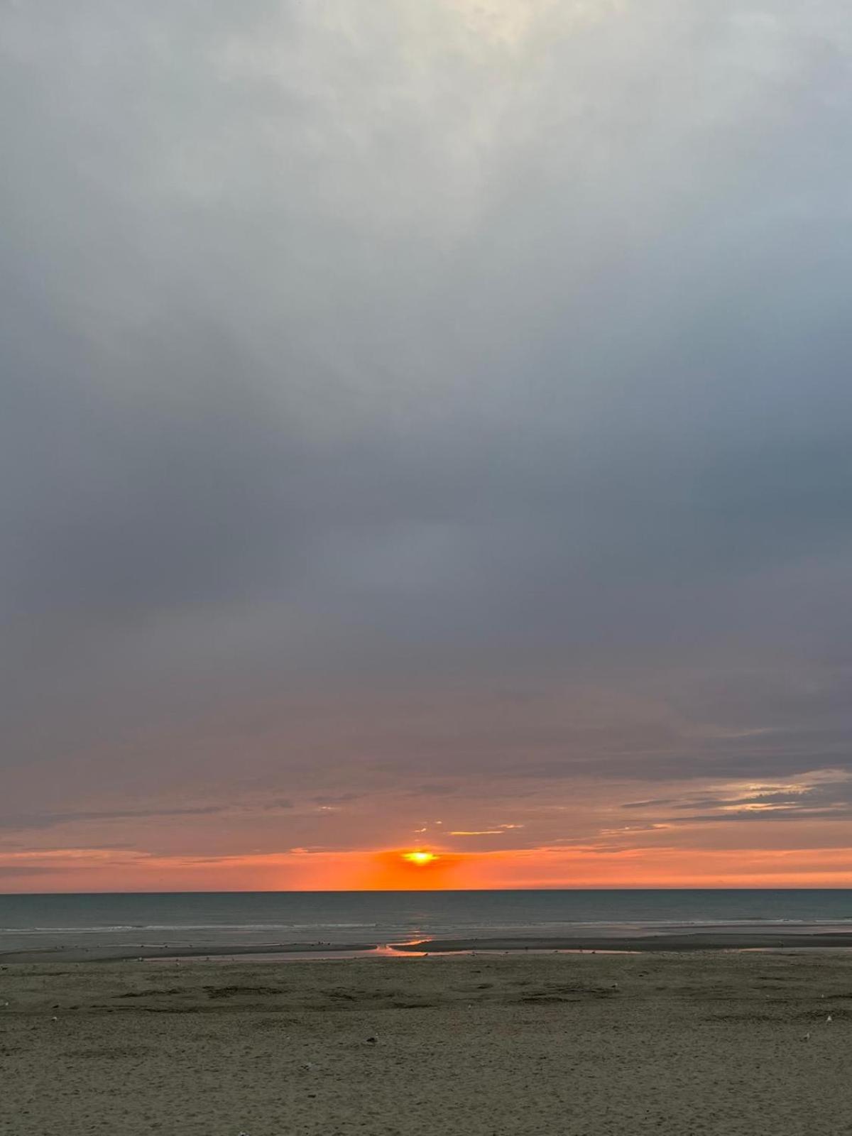 L Oree De La Pinede Hardelot Plage A 800 Metres De La Mer Sous Les Pins Exteriör bild