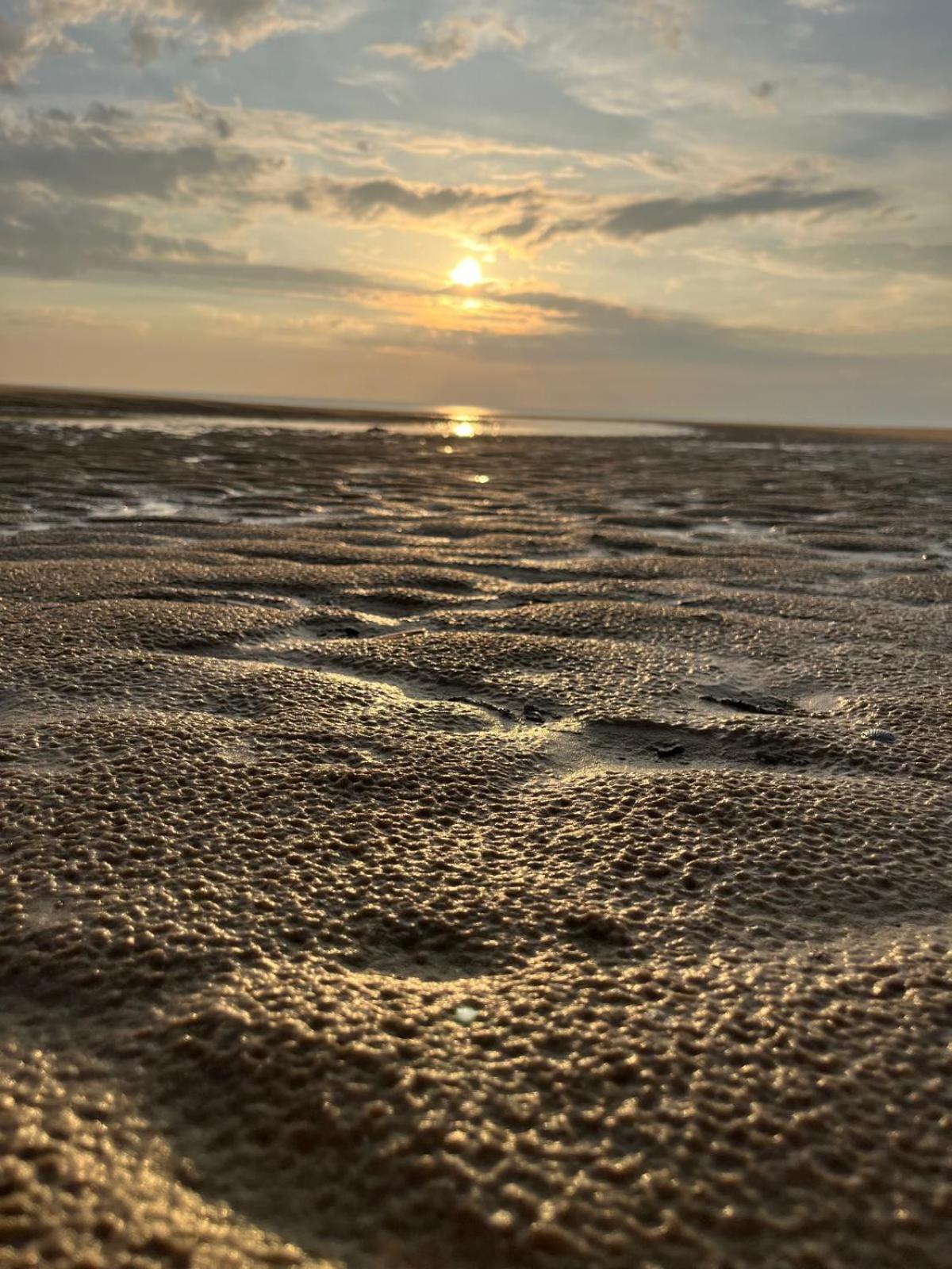 L Oree De La Pinede Hardelot Plage A 800 Metres De La Mer Sous Les Pins Exteriör bild